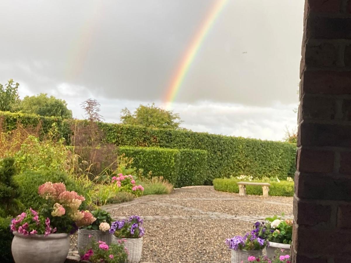 Clara Lodge Sallins エクステリア 写真
