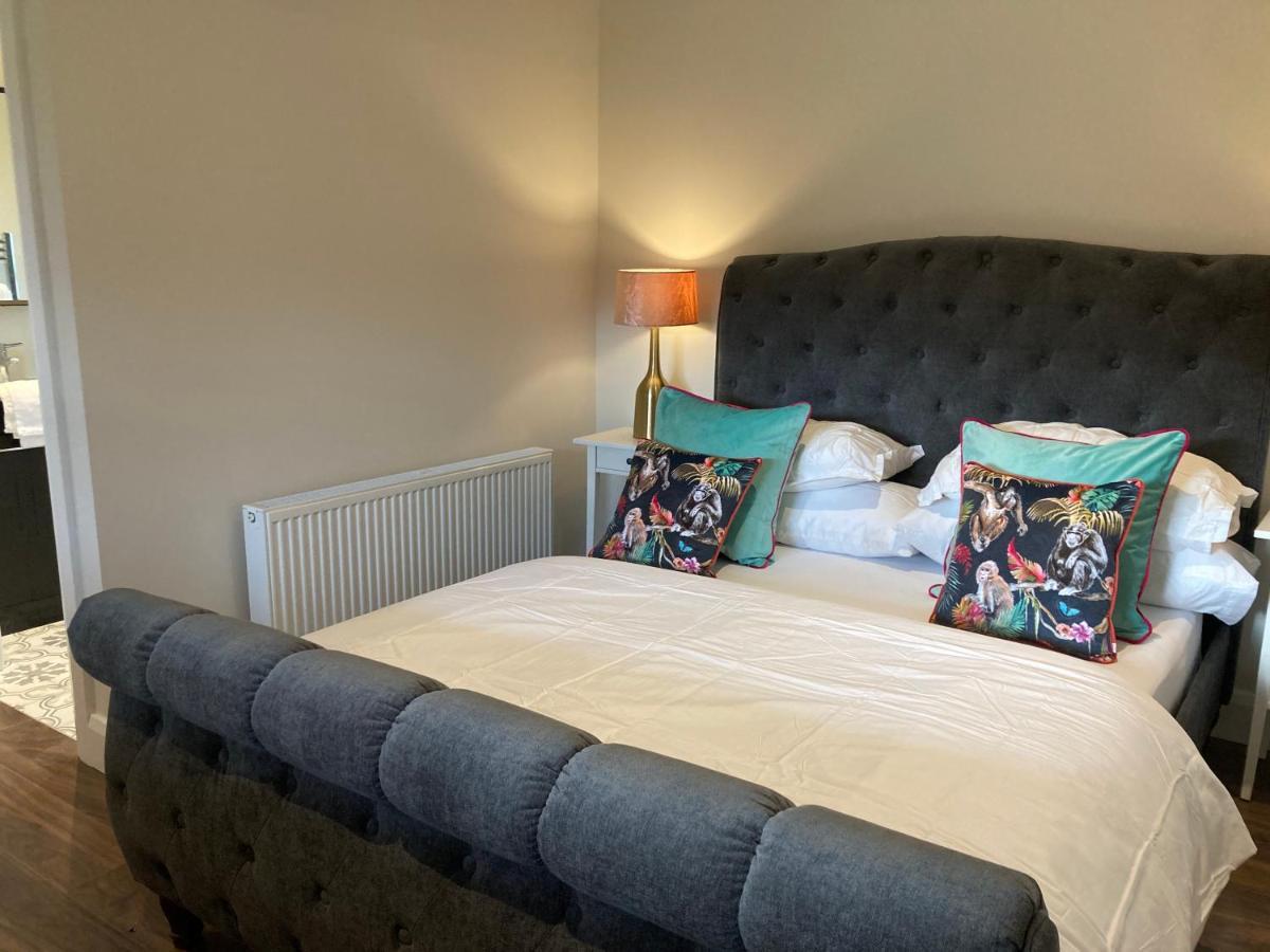 Clara Lodge Sallins エクステリア 写真